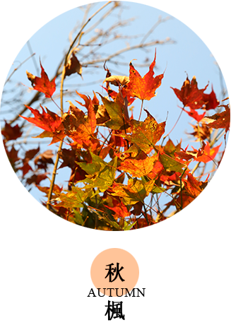 Autumn